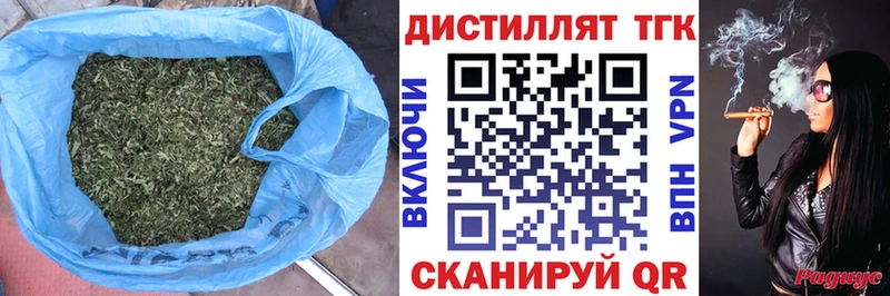 omg ссылка  мориарти официальный сайт  ТГК гашишное масло  Кстово 