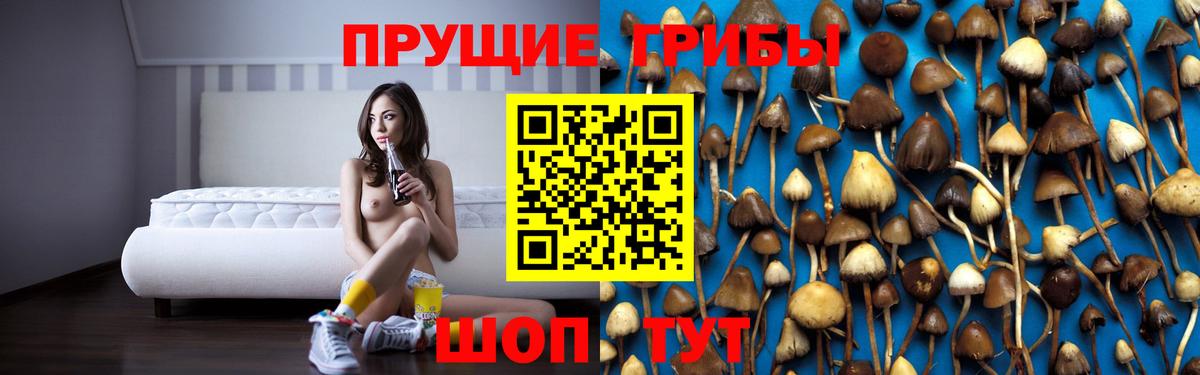 где найти наркотики  Псилоцибиновые грибы MAGIC MUSHROOMS  Вход с VPN  Кстово 